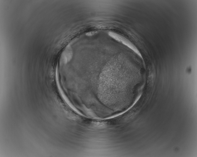 X0000116280469200912211823