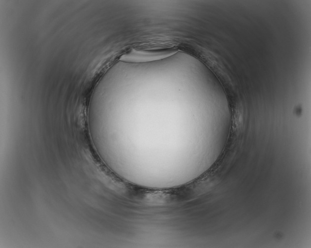 X0000116280470200912211823