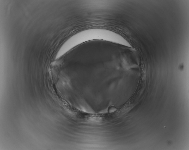 X0000116280471200912211823