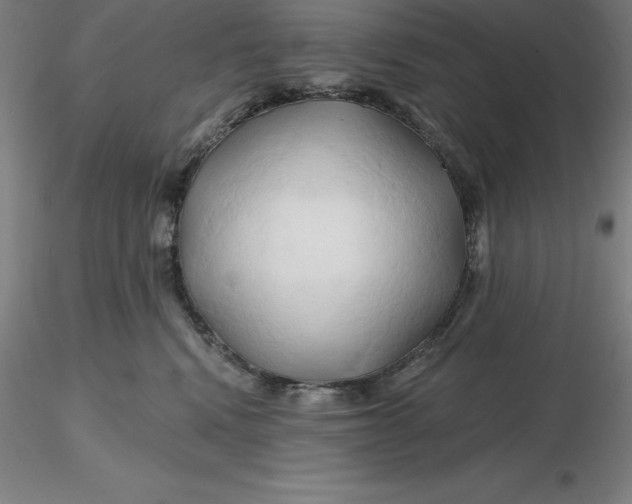 X0000116280472200912211823