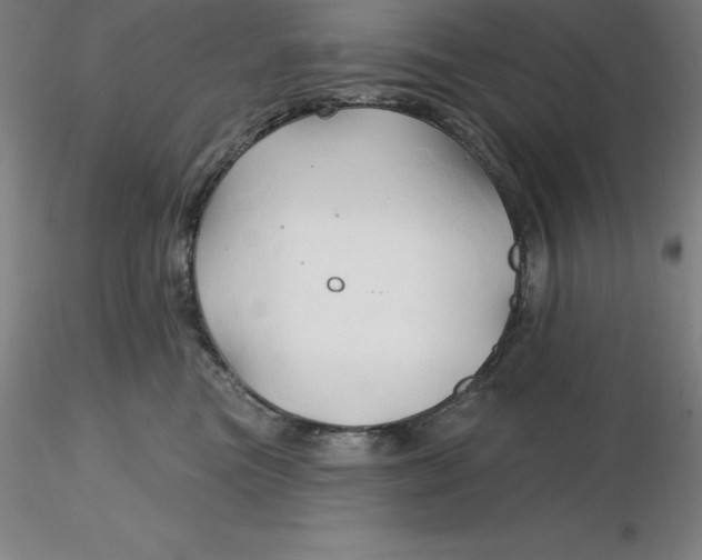 X0000116280473200912211823