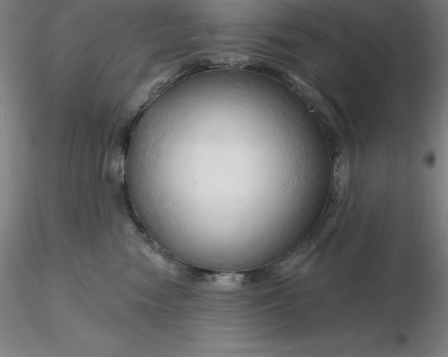 X0000116280474200912211823