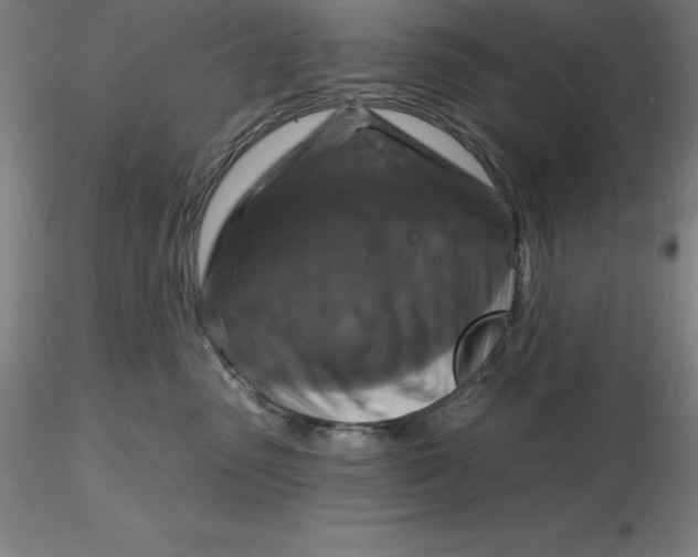 X0000116280475200912211823