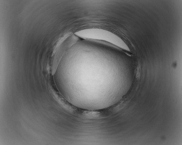 X0000116280476200912211823