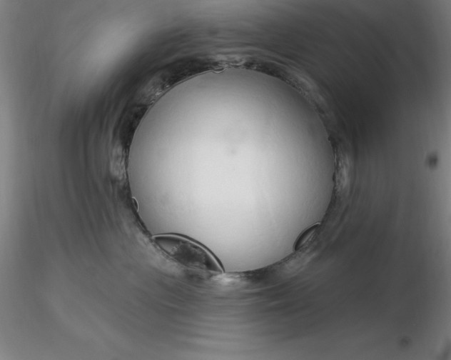 X0000116280477200912211823