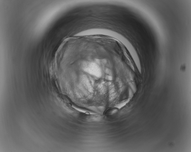 X0000116280479200912211823