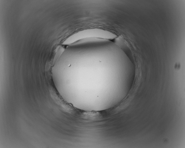 X0000116280480200912211823