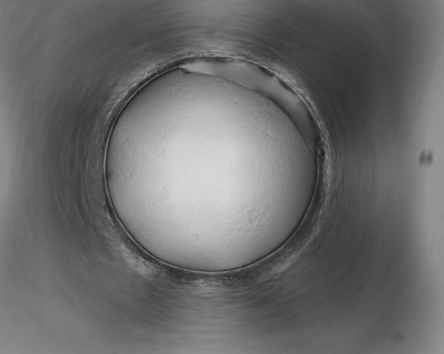 X0000116280481200912211822