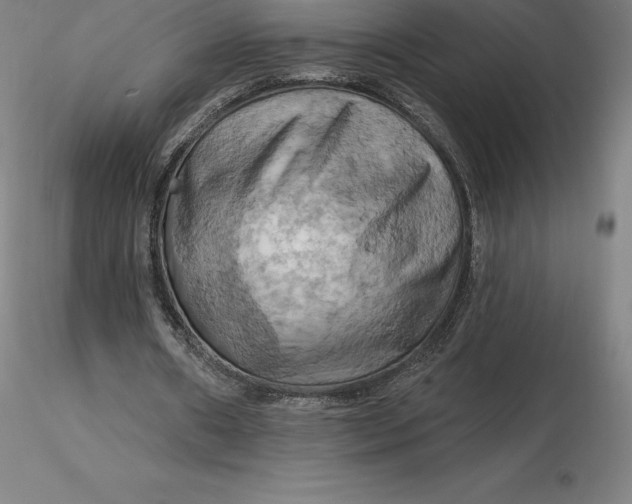 X0000116280482200912211822