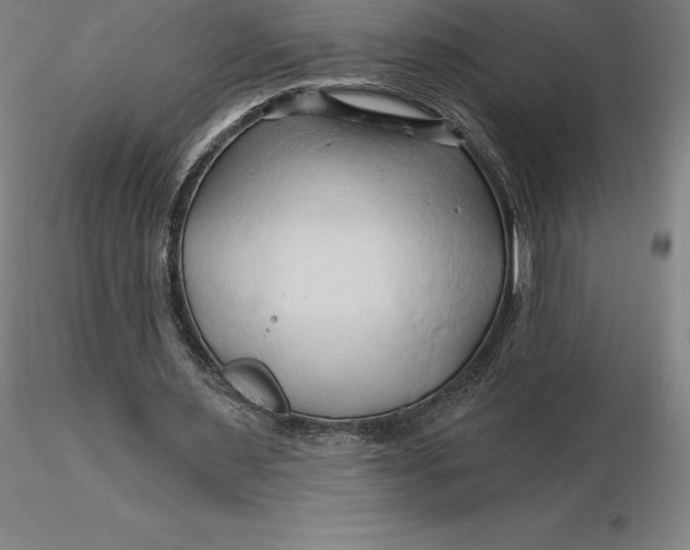 X0000116280483200912211822