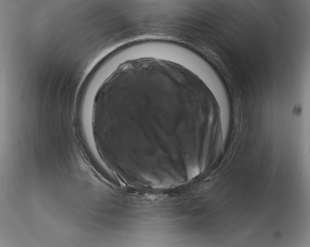 X0000116280484200912211822