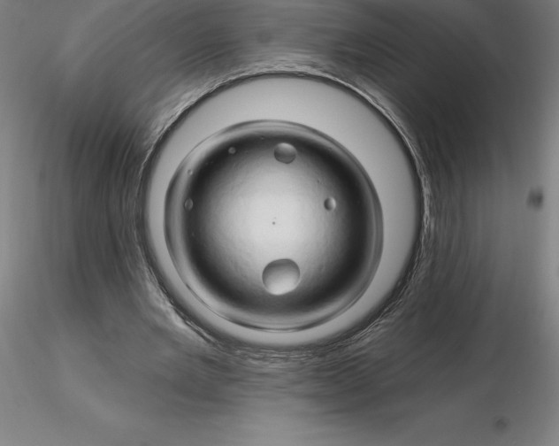 X0000116280485200912211822