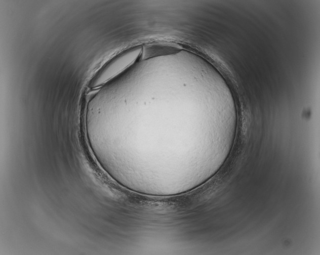 X0000116280486200912211822