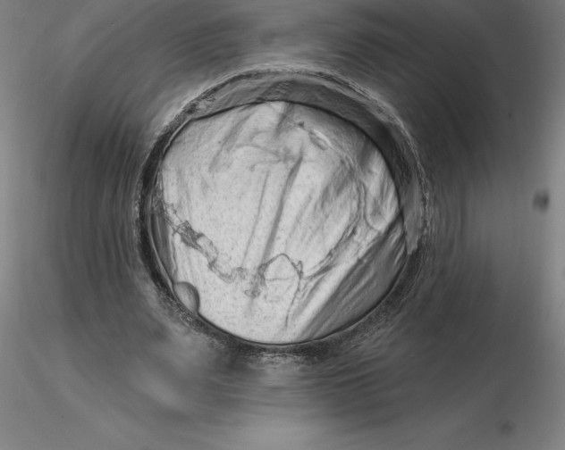 X0000116280487200912211822