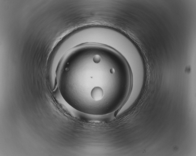 X0000116280488200912211822