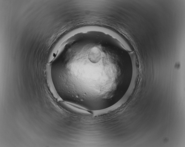 X0000116280489200912211822