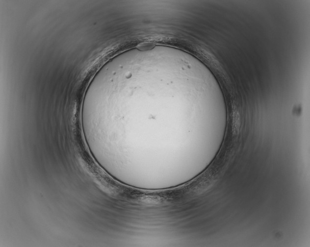 X0000116280490200912211822