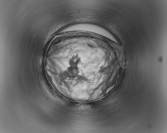 X0000116280491200912211822