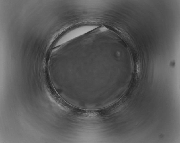 X0000116280492200912211822