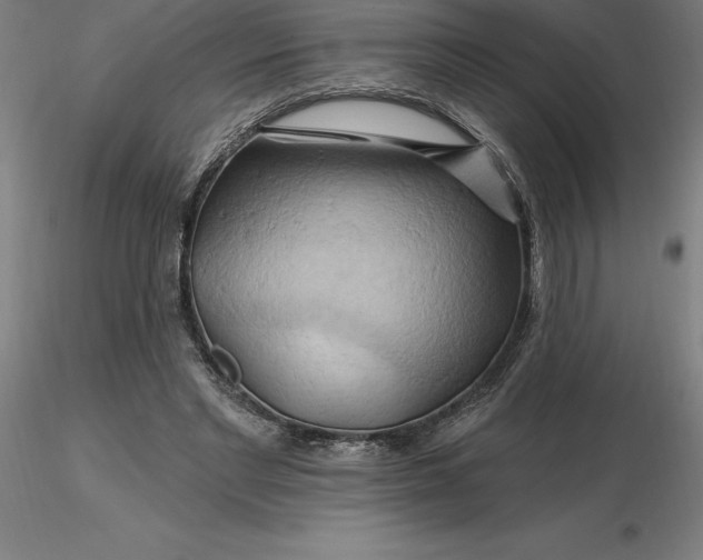 X0000116280493200912211822