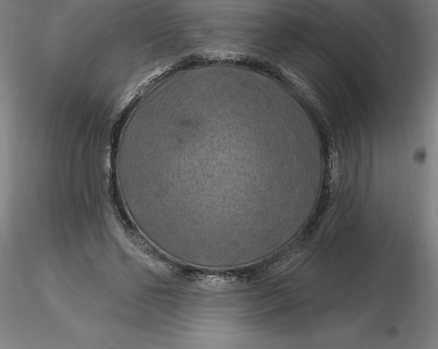 X0000116280494200912211822