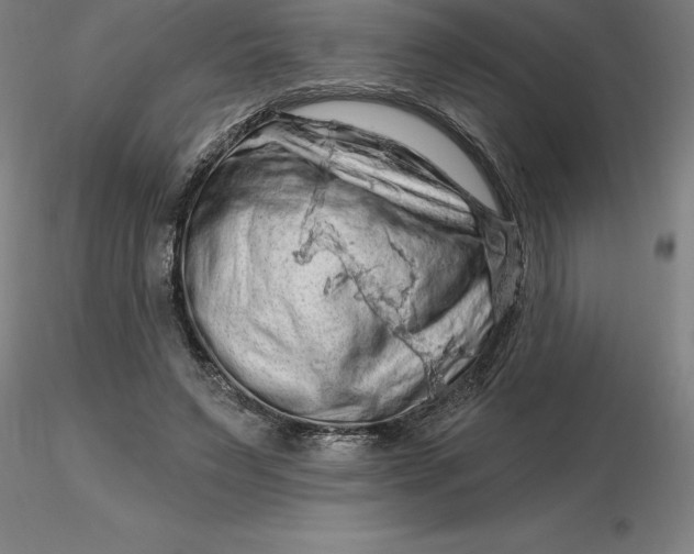 X0000116280495200912211822