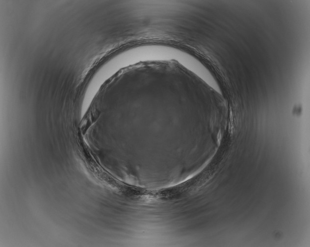 X0000116280496200912211822