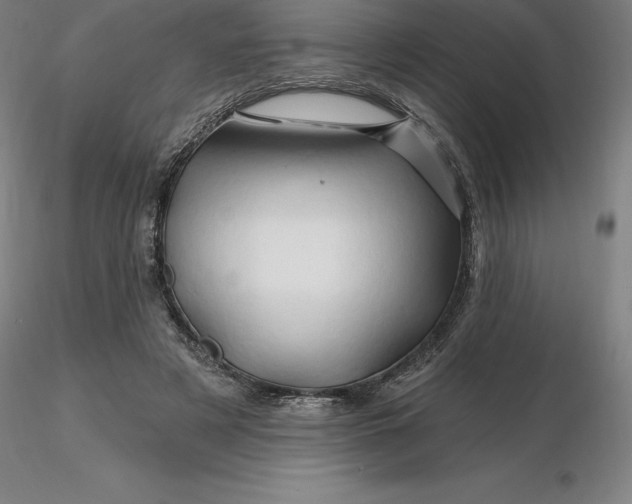 X0000116280497200912211822