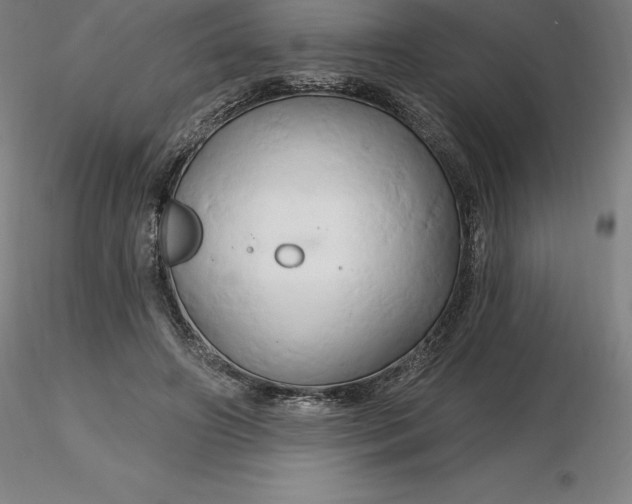 X0000116280498200912211822