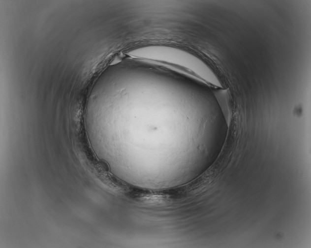 X0000116280499200912211822