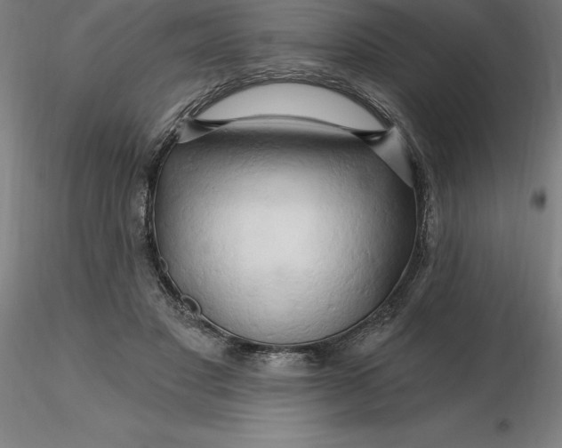 X0000116280501200912211822