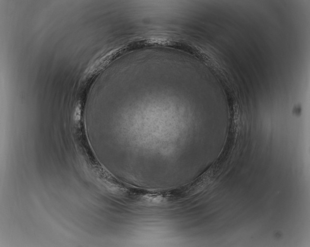 X0000116280502200912211822