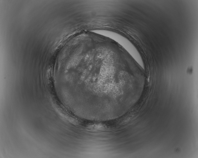 X0000116280503200912211822