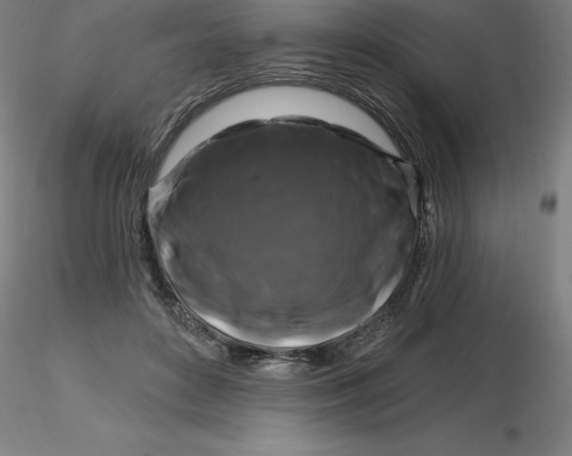 X0000116280504200912211822