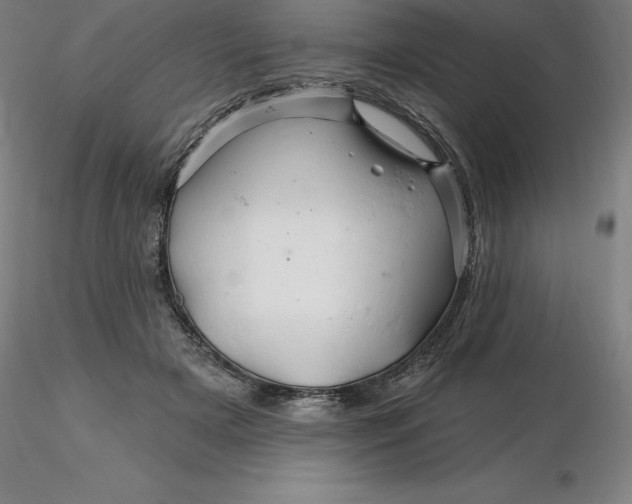 X0000116280505200912211822