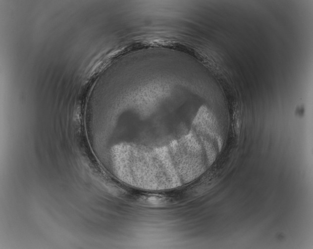 X0000116280506200912211822