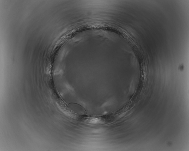 X0000116280507200912211822