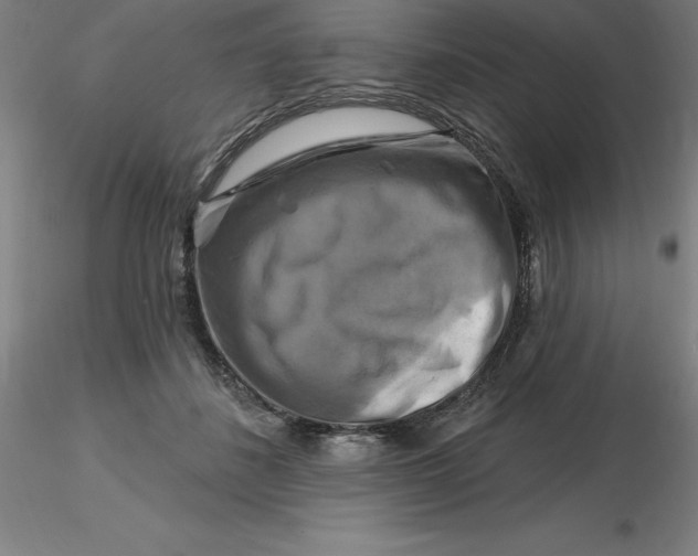 X0000116280508200912211822