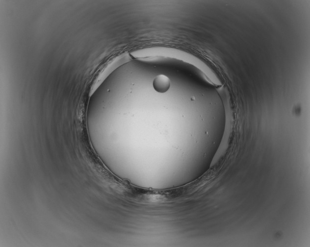 X0000116280509200912211822