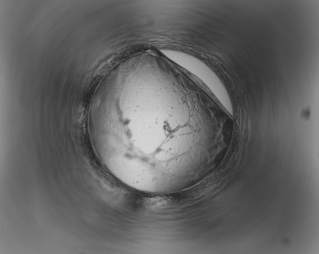 X0000116280511200912211822