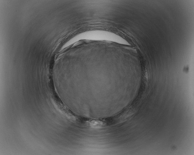 X0000116280512200912211822