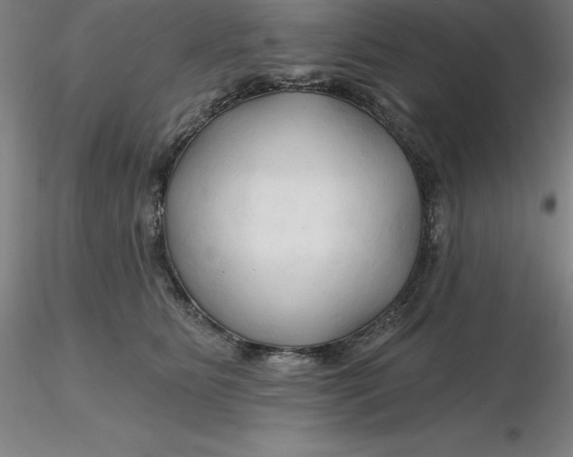 X0000116280515200912211822