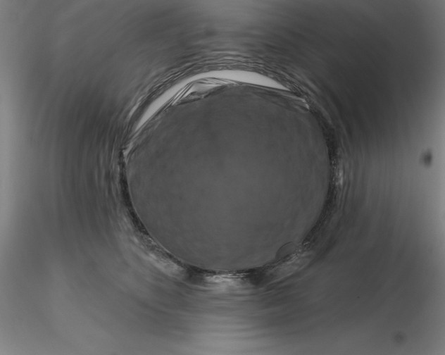 X0000116280516200912211822