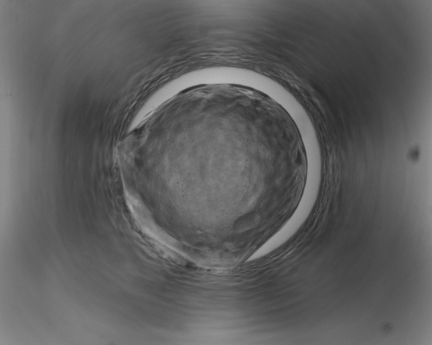 X0000116280517200912211822