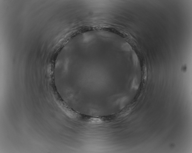 X0000116280519200912211822