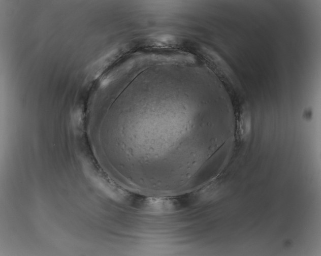 X0000116280520200912211822