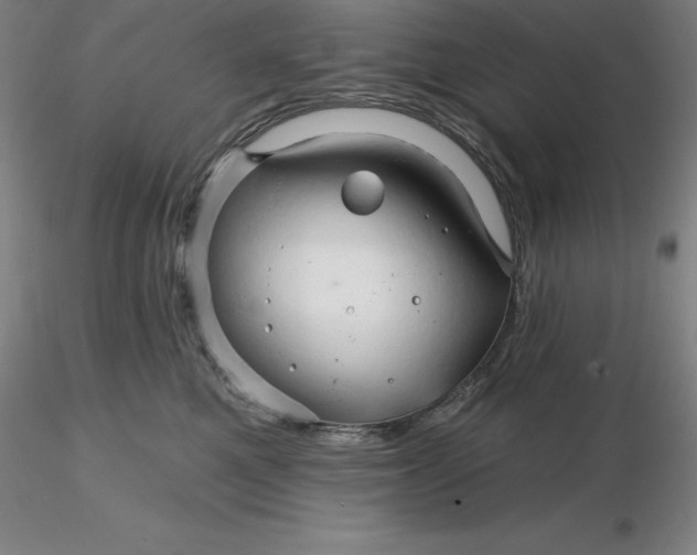 X0000116280521200912211822