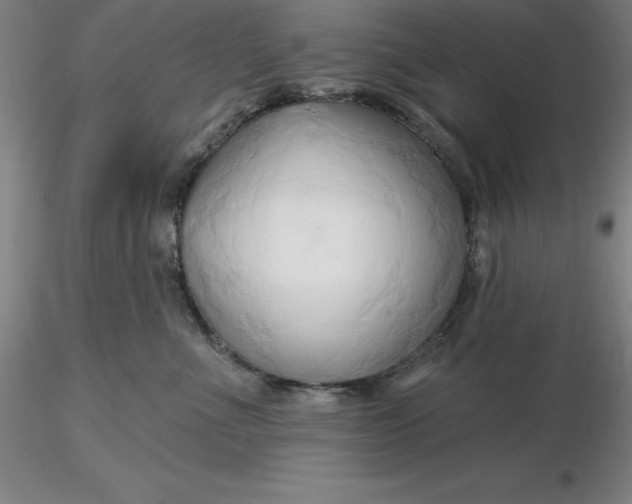 X0000116280523200912211822