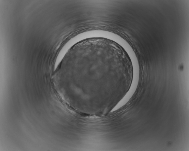 X0000116280524200912211822