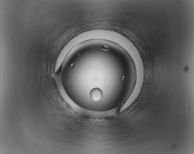 X0000116280525200912211822